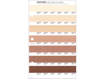 PANTONE PMS SOLID CHIPS ERSATZSEITE 231U 1