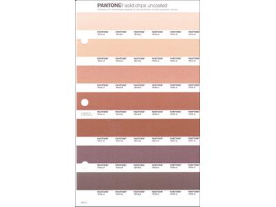PANTONE PMS SOLID CHIPS ERSATZSEITE 232U 1