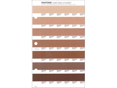 PANTONE PMS SOLID CHIPS ERSATZSEITE 229U 1