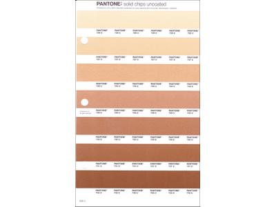 PANTONE PMS SOLID CHIPS ERSATZSEITE 228U 1