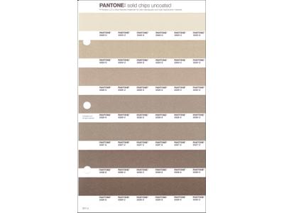 PANTONE PMS SOLID CHIPS ERSATZSEITE 221U 1