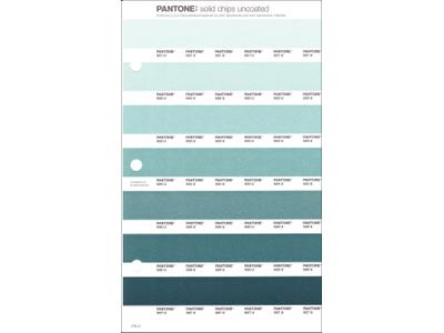 PANTONE PMS SOLID CHIPS ERSATZSEITE 176U 1