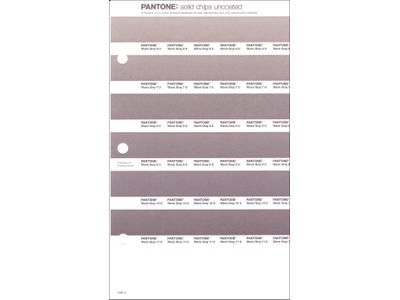 PANTONE PMS SOLID CHIPS ERSATZSEITE 246U 1