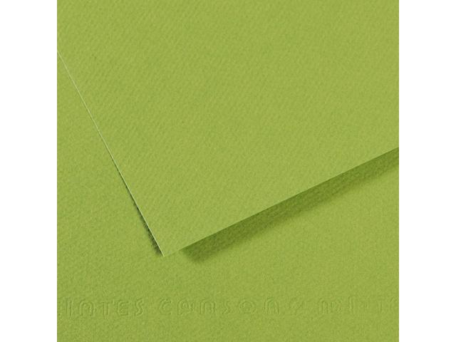 MI-TEINTES 50X65CM 160GR. 475 GRâ”ŒN 1