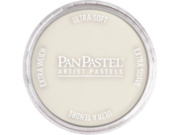 PANPASTEL 9ML BURNT UMBER TINT 760.8