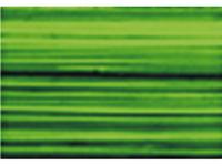 GAMBLIN ETCHING INK 300ML S2 I1540 PHTHALO GREEN