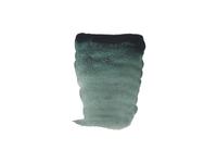 REMBRANDT AQUARELLFARBE 1/2 NÄPFCHEN S1 630 DÄMMERUNG GRÜN