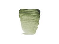 REMBRANDT AQUARELLFARBE 1/2 NÄPFCHEN S1 629 GRÜNE ERDE