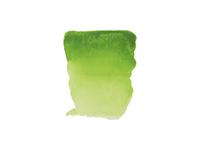 REMBRANDT AQUARELVERF 1/2NAPJE S2 633 PERMANENT GEEL GROEN