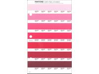 PANTONE PMS SOLID CHIPS ERSATZSEITE 42U