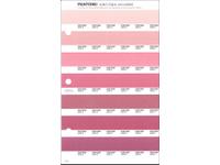 PANTONE PMS SOLID CHIPS ERSATZSEITE 34U