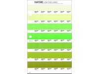 PANTONE PMS SOLID CHIPS ERSATZSEITE 194C