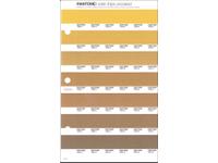 PANTONE PMS SOLID CHIPS ERSATZSEITE 11U