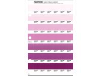 PANTONE PMS SOLID CHIPS ERSATZSEITE 64C