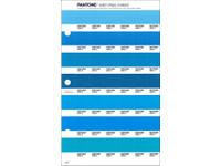PANTONE PMS SOLID CHIPS ERSATZSEITE 148C