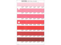 PANTONE PMS SOLID CHIPS ERSATZSEITE 40U