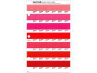 PANTONE PMS SOLID CHIPS ERSATZSEITE 39C
