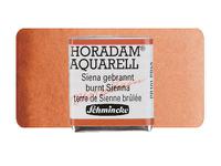 SCHMINCKE HORADAM AQUARELL 1/2 NAPF S1 661 SIENA GEBRANNT
