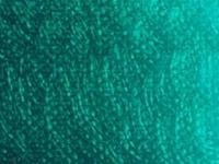 ARA ACRYLFARBE 250ML 049 PHTHALOGRÜN BÄULICH