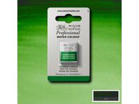 WINSOR & NEWTON AQUARELLFARBE 1/2 NÄPF S1 311 HOOKERSGRÜN
