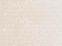 ARA ACRYLFARBE 250ML 100 UNGEBLEICHTES TITAN HELL