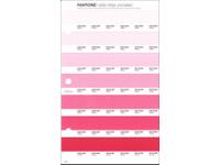 PANTONE PMS SOLID CHIPS ERSATZSEITE 50U