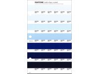 PANTONE PMS SOLID CHIPS ERSATZSEITE 131C