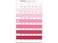 PANTONE PMS SOLID CHIPS ERSATZSEITE 51U