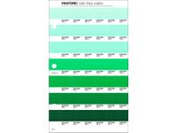 PANTONE PMS SOLID CHIPS ERSATZSEITE 185C