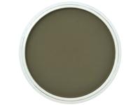 PANPASTEL 9ML BRIGHT YELLOW GREEN EXTRA DARK 680.1