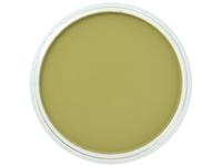 PANPASTEL 9ML BRIGHT YELLOW GREEN SHADE 680.3