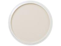 PANPASTEL 9ML RAW UMBER TINT 780.8