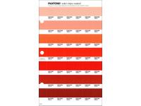 PANTONE PMS SOLID CHIPS ERSATZSEITE 28C