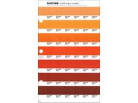PANTONE PMS SOLID CHIPS ERSATZSEITE 27C
