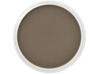 PANPASTEL 9ML RAW UMBER SHADE 780.3