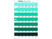 PANTONE PMS SOLID CHIPS ERSATZSEITE 168C