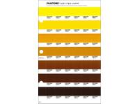 PANTONE PMS SOLID CHIPS ERSATZSEITE 10C