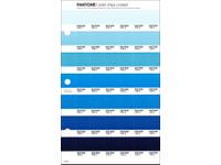 PANTONE PMS SOLID CHIPS ERSATZSEITE 145C