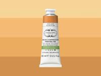 LEFRANC BOURGEOIS CHARBONNEL AQUA WASH ETSINKT 60ML S1 OCHRE JAUNE 499