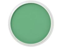 PANPASTEL 9ML PERMANENT GREEN 640.5
