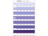 PANTONE PMS SOLID CHIPS ERSATZSEITE 107U