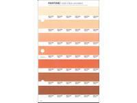 PANTONE PMS SOLID CHIPS ERSATZSEITE 24U