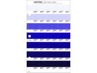 PANTONE PMS SOLID CHIPS ERSATZSEITE 124C