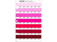 PANTONE PMS SOLID CHIPS ERSATZSEITE 54C