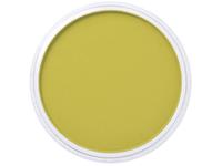 PANPASTEL 9ML HANS YELLOW SHADE 220.3
