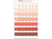 PANTONE PMS SOLID CHIPS ERSATZSEITE 37U