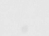 ARA  ACRYLFARBE 250ML 001 TITANWEISS