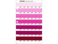 PANTONE PMS SOLID CHIPS ERSATZSEITE 62C