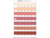 PANTONE PMS SOLID CHIPS ERSATZSEITE 36U