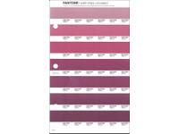 PANTONE PMS SOLID CHIPS ERSATZSEITE 58U